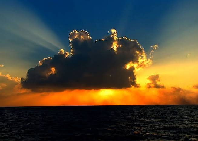 Sunlight